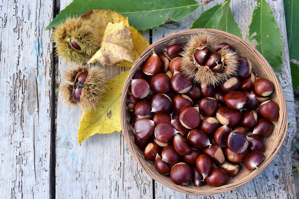 A tavola con Humanitas Salute: dolce di castagne ...